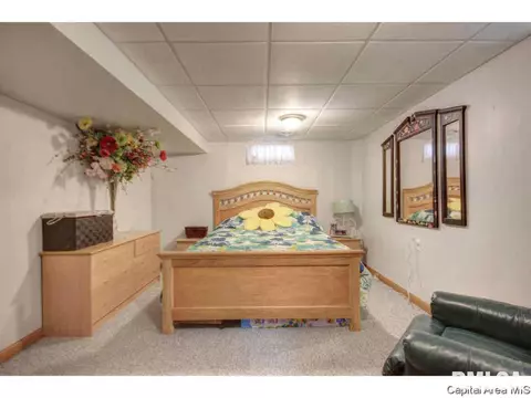 2226 Celtic, Springfield, IL 62704 photo 32