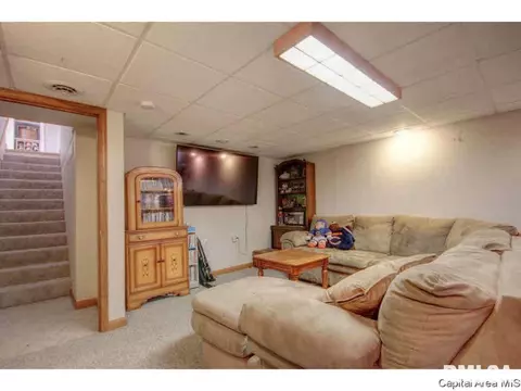 2226 Celtic, Springfield, IL 62704 photo 25