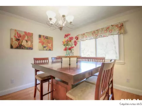 2226 Celtic, Springfield, IL 62704 photo 7