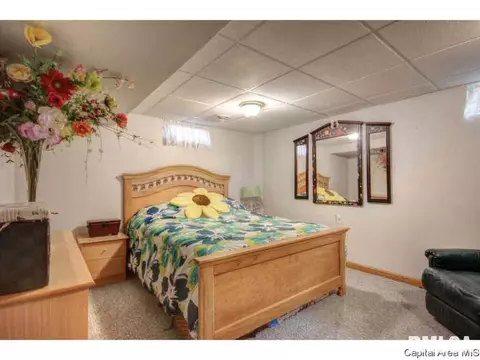 2226 Celtic, Springfield, IL 62704 photo 31