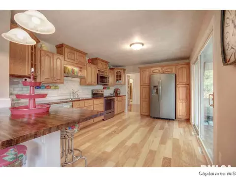 2226 Celtic, Springfield, IL 62704 photo 19