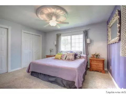 2226 Celtic, Springfield, IL 62704 photo 13
