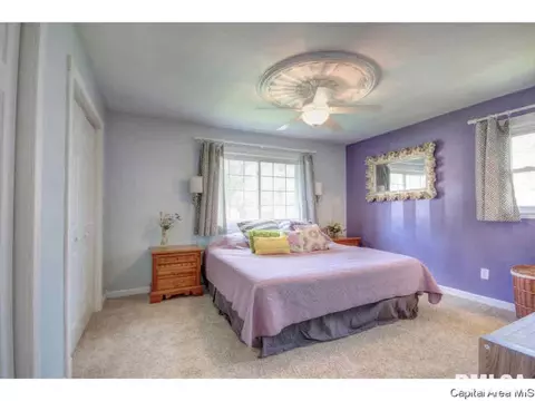 2226 Celtic, Springfield, IL 62704 photo 14