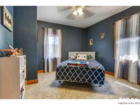 1734 Dial Ct, Springfield, IL 62711 photo 16