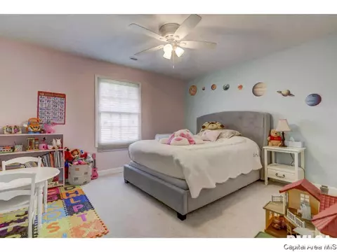 3215 Falcon Point Pt, Springfield, IL 62711 photo 19
