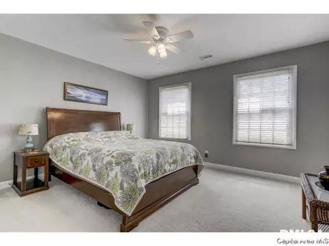 3215 Falcon Point Pt, Springfield, IL 62711 photo 20