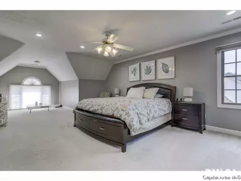 3215 Falcon Point Pt, Springfield, IL 62711 photo 16