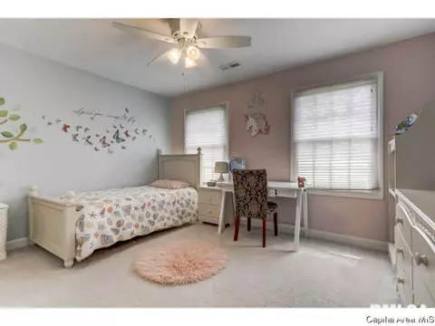 3215 Falcon Point Pt, Springfield, IL 62711 photo 21