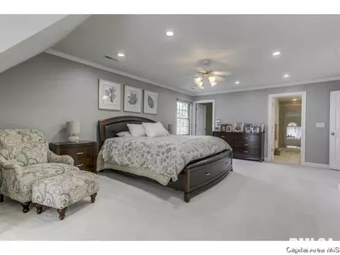 3215 Falcon Point Pt, Springfield, IL 62711 photo 15