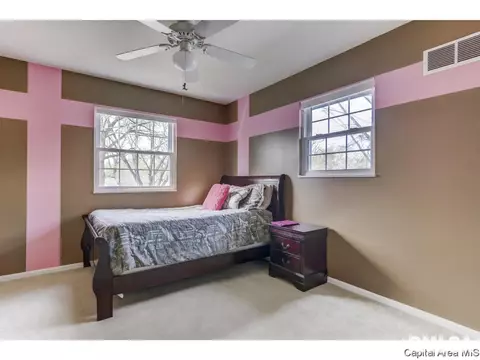 107 Exmore Dr, Springfield, IL 62704 photo 27