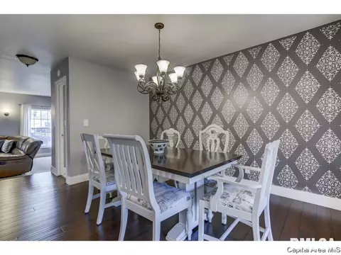 107 Exmore Dr, Springfield, IL 62704 photo 11