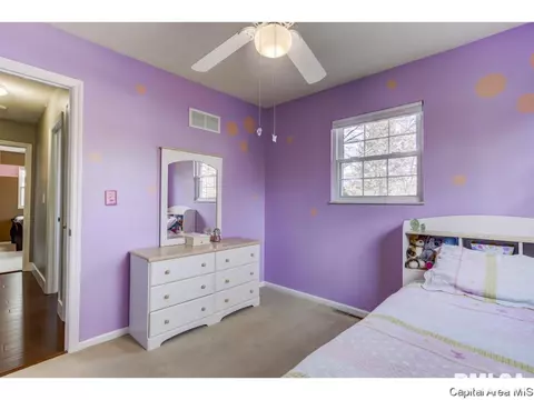 107 Exmore Dr, Springfield, IL 62704 photo 26