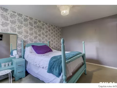 107 Exmore Dr, Springfield, IL 62704 photo 25