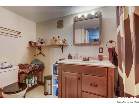3900 Redbird Ln, Springfield, IL 62707 photo 22