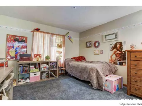 3900 Redbird Ln, Springfield, IL 62707 photo 20