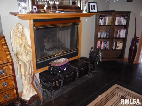1911 Sun Mill Ct, Springfield, IL 62704 photo 6