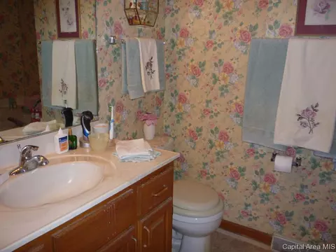 1911 Sun Mill Ct, Springfield, IL 62704 photo 17
