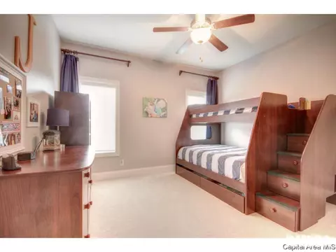 2617 Old Bachelor Trl, Springfield, IL 62711 photo 18