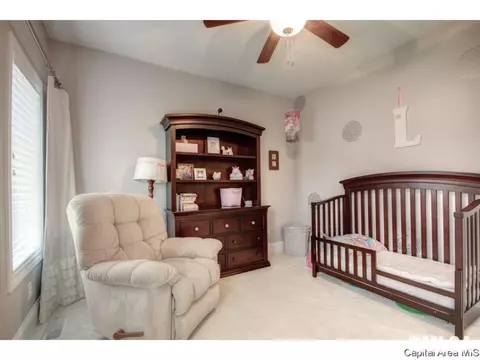 2617 Old Bachelor Trl, Springfield, IL 62711 photo 17