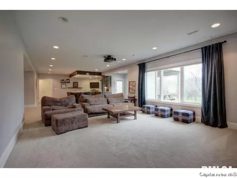 2617 Old Bachelor Trl, Springfield, IL 62711 photo 19