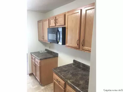 417 Meridian, Springfield, IL 62702 photo 6