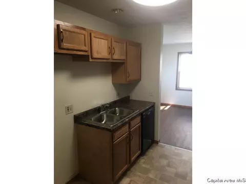 417 Meridian, Springfield, IL 62702 photo 5