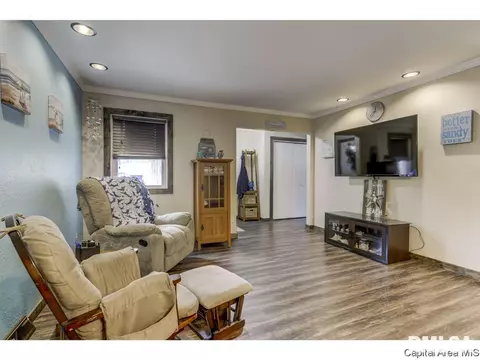 2528 Delaware Dr, Springfield, IL 62702 photo 24