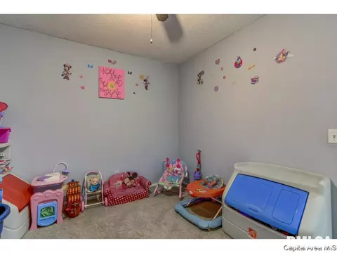 2528 Delaware Dr, Springfield, IL 62702 photo 22