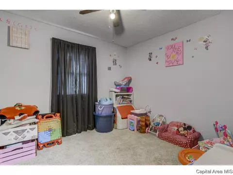 2528 Delaware Dr, Springfield, IL 62702 photo 21