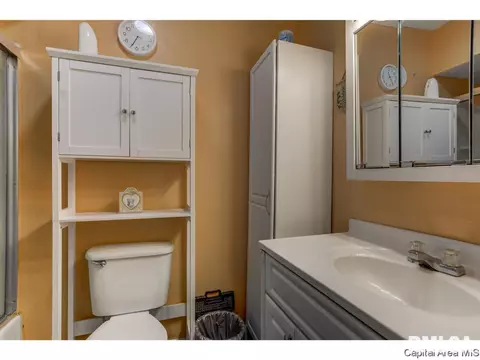 2528 Delaware Dr, Springfield, IL 62702 photo 29