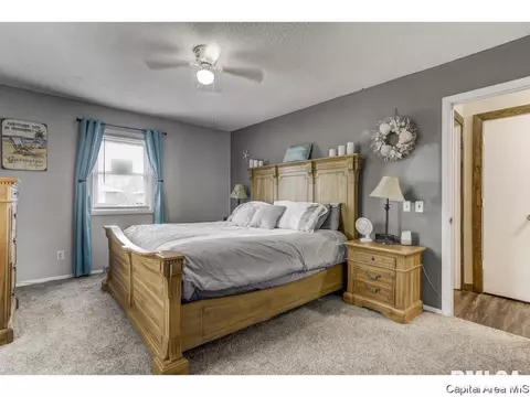 2528 Delaware Dr, Springfield, IL 62702 photo 16