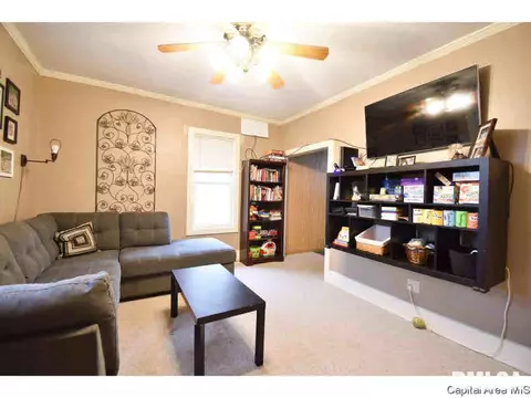 224 N Meadowbrook Rd, Springfield, IL 62711 photo 11