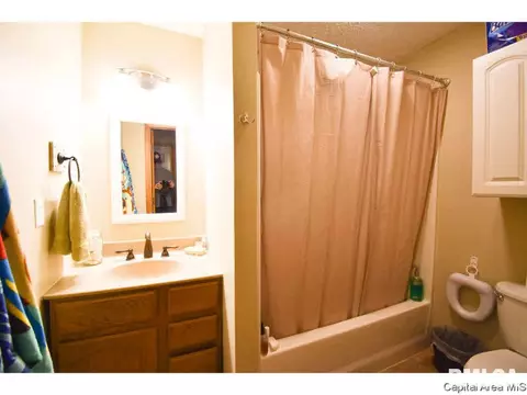 224 N Meadowbrook Rd, Springfield, IL 62711 photo 12