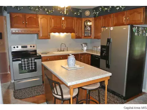 16 Craig, Springfield, IL 62711 photo 17