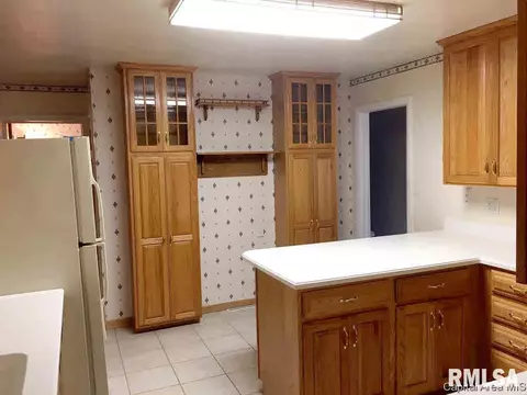 35 Horseshoe, Springfield, IL 62702 photo 13