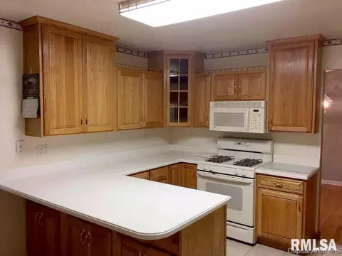 35 Horseshoe, Springfield, IL 62702 photo 12