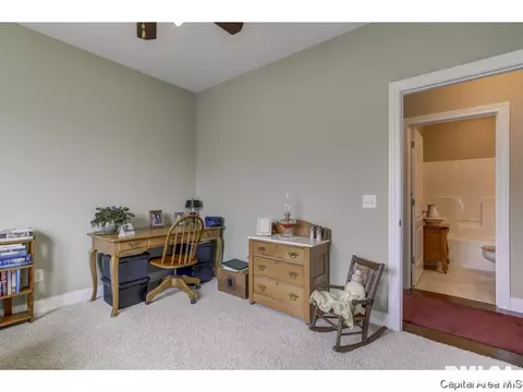 820 Longleaf Ct, Springfield, IL 62711 photo 24