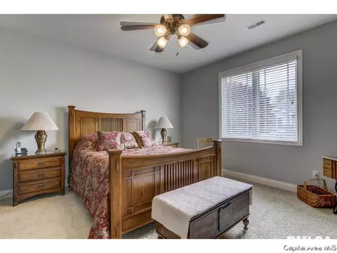 820 Longleaf Ct, Springfield, IL 62711 photo 15