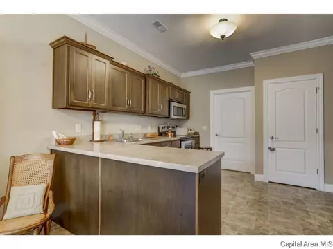 820 Longleaf Ct, Springfield, IL 62711 photo 13