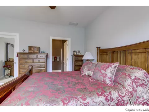 820 Longleaf Ct, Springfield, IL 62711 photo 18