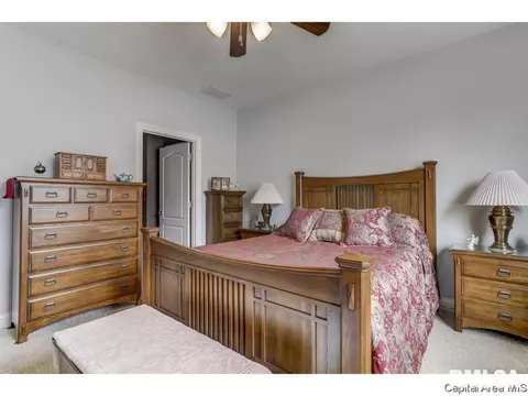 820 Longleaf Ct, Springfield, IL 62711 photo 16