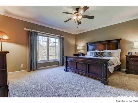 2621 Old Bachelor Trl, Springfield, IL 62711 photo 20