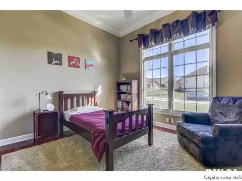 2621 Old Bachelor Trl, Springfield, IL 62711 photo 27