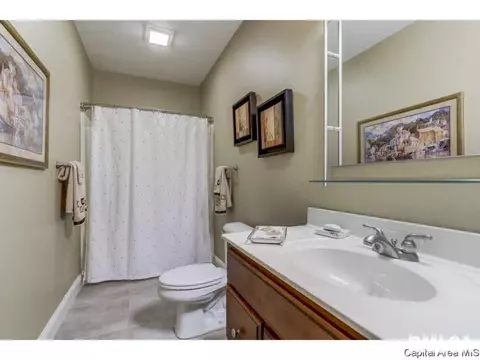 1340 Churchill, Springfield, IL 62702 photo 26