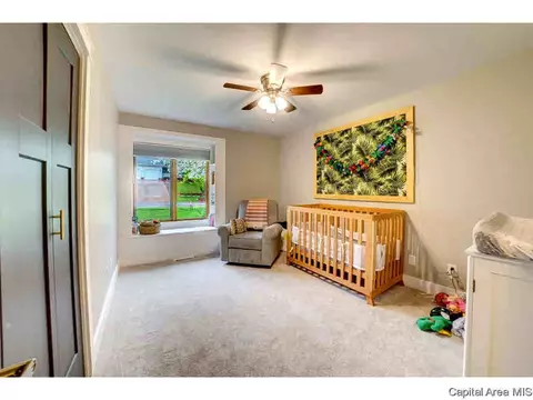 309 Thames River Rd, Springfield, IL 62711 photo 21