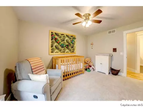309 Thames River Rd, Springfield, IL 62711 photo 18