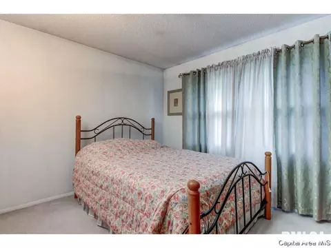 3009 E Griffiths Ave, Springfield, IL 62702 photo 7
