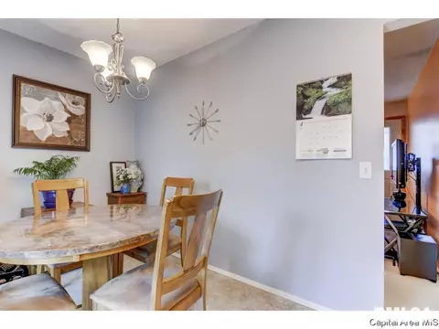 3009 E Griffiths Ave, Springfield, IL 62702 photo 19