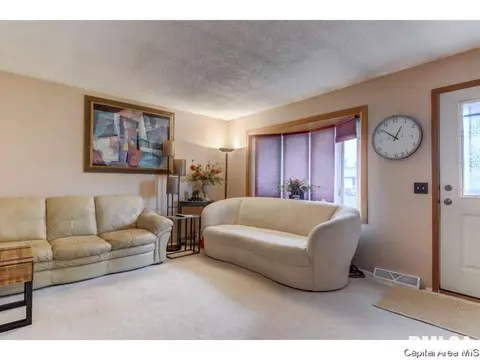 3009 E Griffiths Ave, Springfield, IL 62702 photo 22