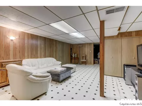 3009 E Griffiths Ave, Springfield, IL 62702 photo 14